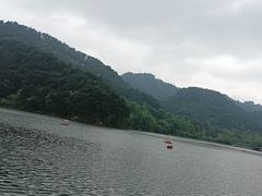 -黔灵山公园