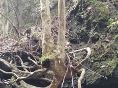 -藏龙百瀑风景区