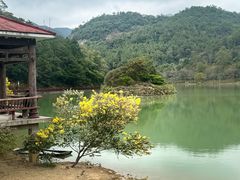 -广州白江湖森林公园