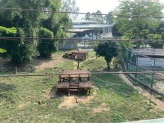 -泉州海丝野生动物世界