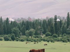 -新疆那拉提国家旅游度假区