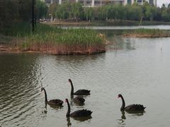 -江南大学(蠡湖校区)