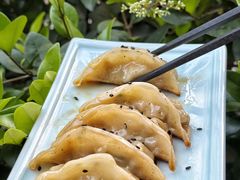 -财兜兜大黄山小馄饨