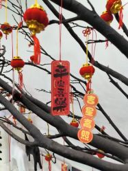 -ANRI安里·专业男士脱毛连锁