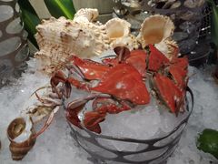 -长沙北辰洲际酒店-兰调全日餐厅