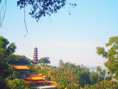 -大湾区中央湿地公园