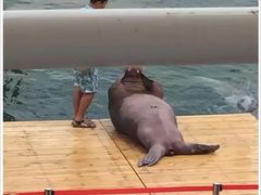 -北戴河圣蓝海洋公园