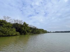 -大湾区中央湿地公园