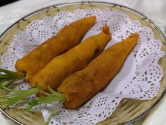 -丁老爷子苏香圆