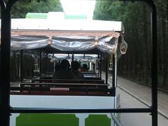 -日照海滨国家森林公园