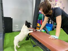 -征成健身连锁私教工作室(九公里店)