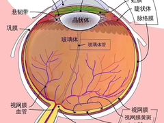 -黑马眼科·近视手术