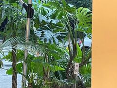 -1861意大利餐厅(来福士店)