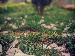 -海底捞火锅(老城根店)