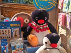 -猫的天空之城概念书店(苏州平江店)