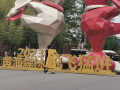 -黄海国家森林公园