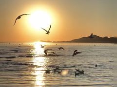 -真利味·脊骨火锅·正宗韩国料理(韩乐坊店)