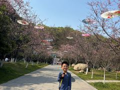 -广州市帽峰山景区