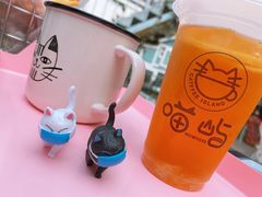 -喵屿·大理花园猫咖