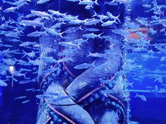 -波塞冬旅游度假区