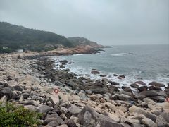-广东惠东海龟国家级自然保护区