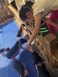 -萌宠亲子动物乐园(槐房万达店)