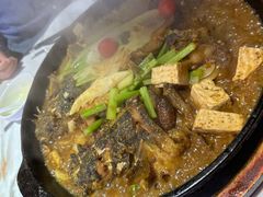 -老板恋上鱼(高新万达店)