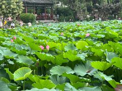 -莲池书院博物馆