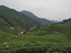 -午潮山国家森林公园