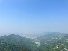 -南山植物园