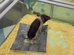 点击看大图 -meland亲子乐园•派对•研学(苏州悠方购物中心店)