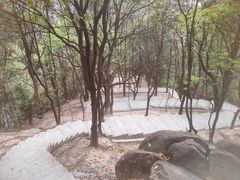 -火炉山森林公园