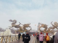 -雾凇岛