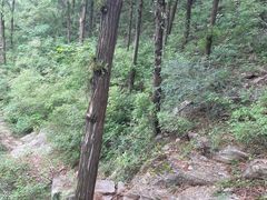 -四门塔风景区