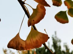 -旧宫(地铁站)