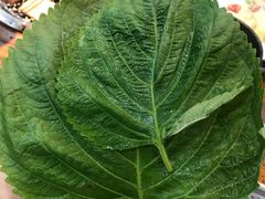 -松林阁烤肉(延大店)