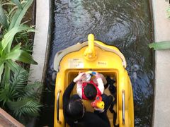 -南宫五洲植物乐园