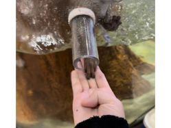 -Zoolung Zoolung动物主题公园(海信广场店)