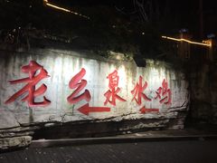 门面-老幺泉水鸡