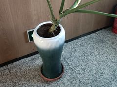 -老绥元烧麦·家常菜(如意店)