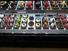 -BLACKSWAN黑天鹅(环球店)