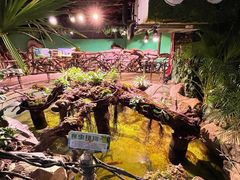 -正佳雨林生态植物园
