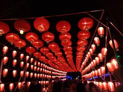 -青龙湖公园