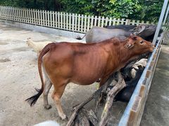 -广州长隆飞鸟乐园