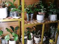 -远大购物中心(南岗店)