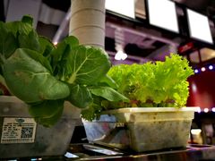 -捞围鲜·港式打边炉(海阳路店)