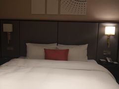 -和颐至尊酒店(上海徐家汇桂林公园地铁站店)