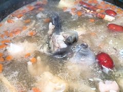 滋补汤底-花苑美食横琴生蚝火锅(拱北粤华路店)