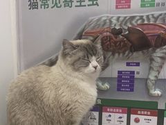 -瑞派雷欧宠物医院·中兽医·眼科·急重症转诊中心(黄台店)