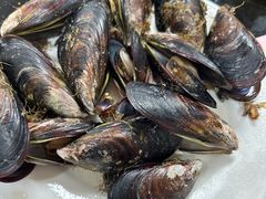 -阿军排档·烧烤